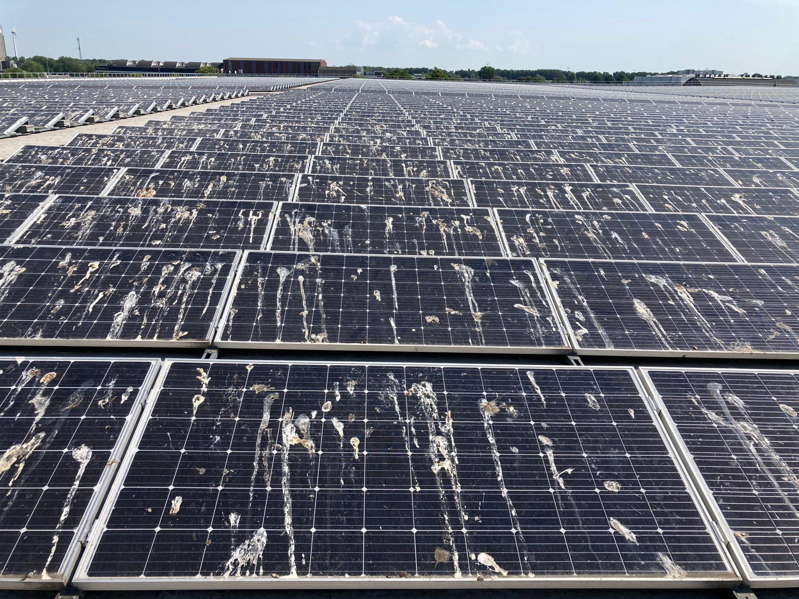 Afbeelding vervuilde zonnepanelen zonnepark - reinigen zonnepanelen zonnepark - SolarWash