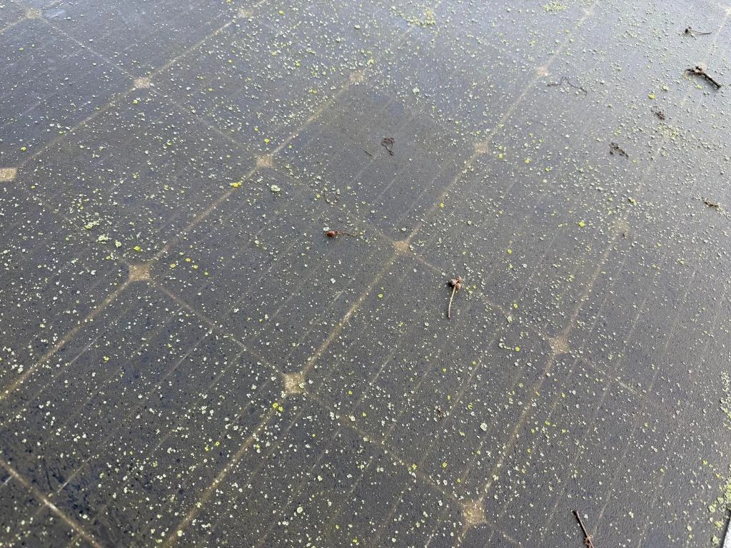 Reiniging PEG zonnepanelen SolarWash 3