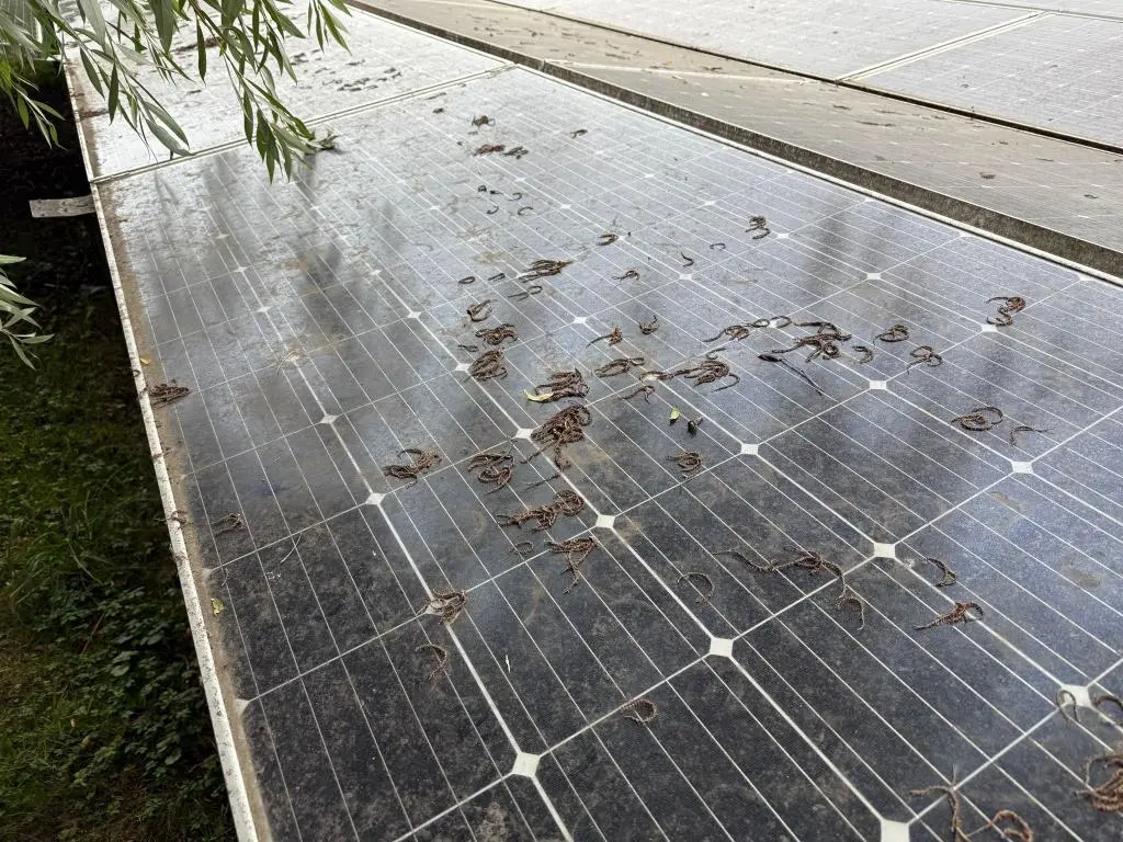 Reiniging PEG zonnepanelen SolarWash 6